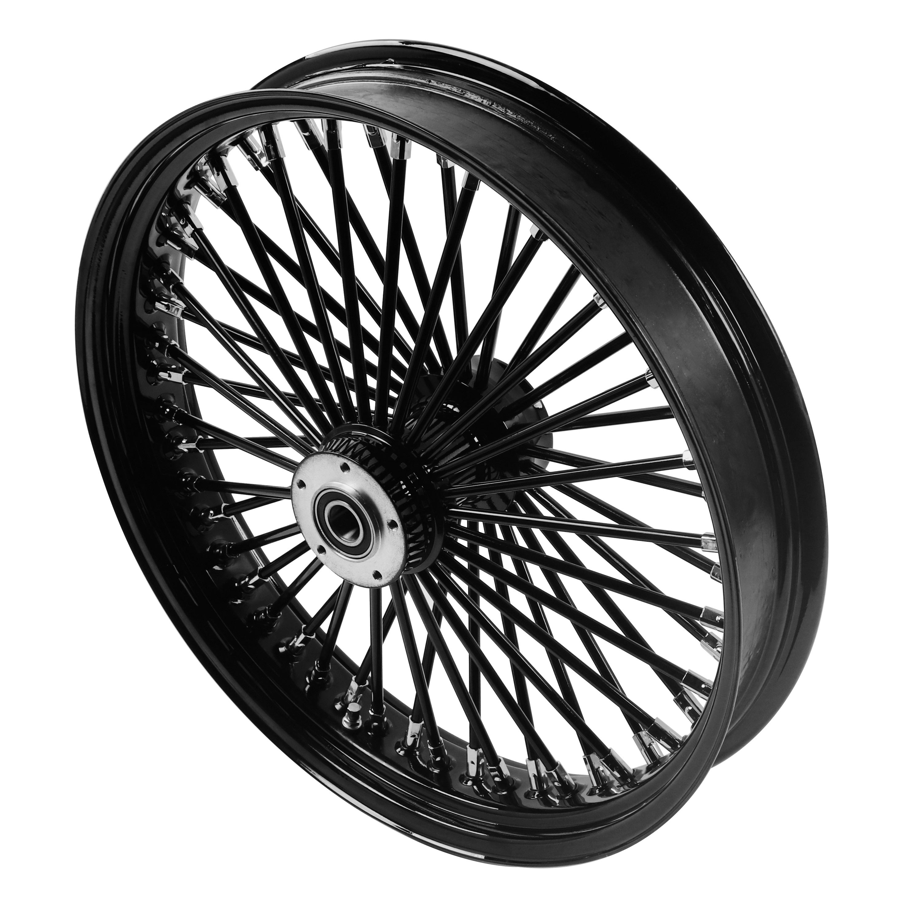 Stainless Steel Fat Spokes 21 Inch Front Black Wheel Dual Disc for 00-